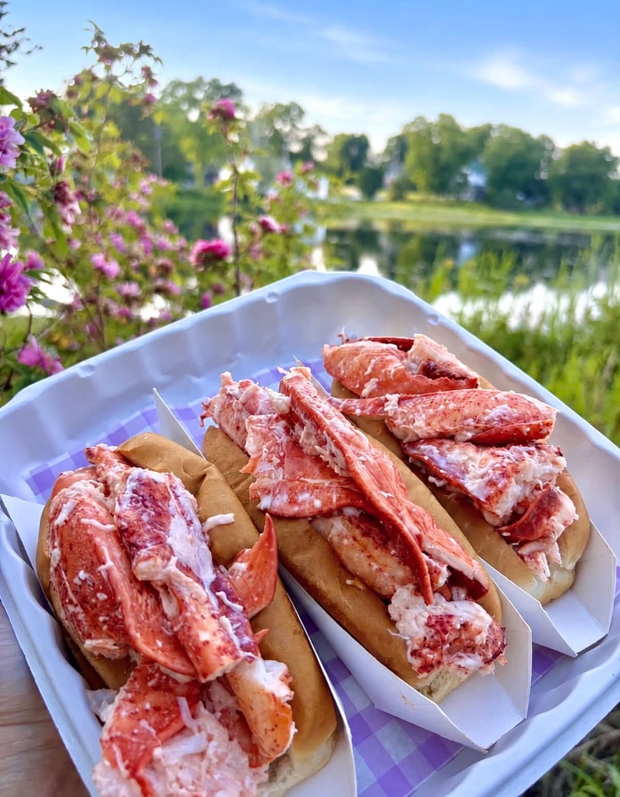 Your Ultimate Weekend Itinerary for Rangeley, Maine